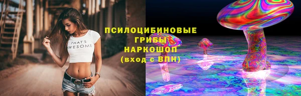 СК Белокуриха
