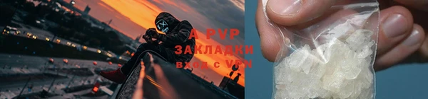 СК Белокуриха