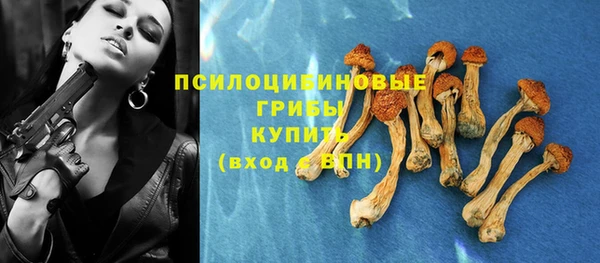 альфа пвп Беломорск
