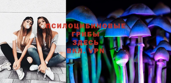 СК Белокуриха