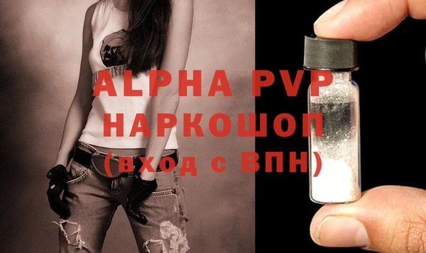 СК Белокуриха