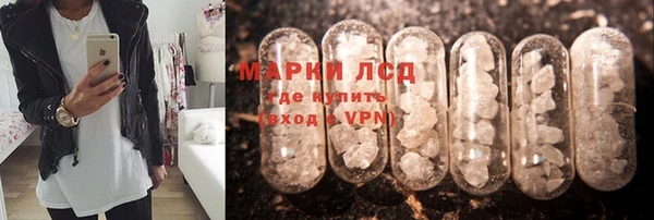 СК Белокуриха