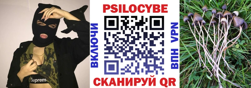 купить наркотик  гидра ссылка  Галлюциногенные грибы ЛСД  Покровск 