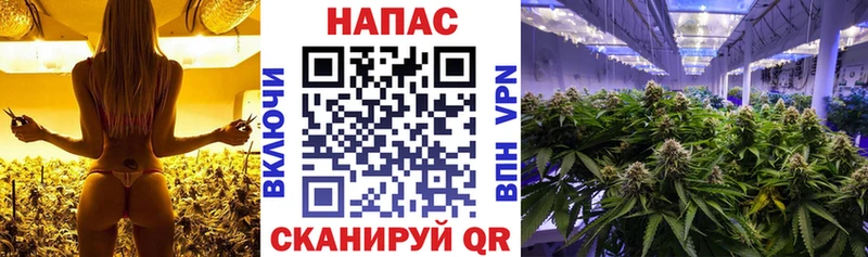 blacksprut рабочий сайт  Покровск  Конопля план 